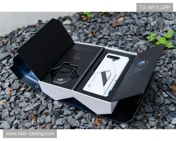 亚星娱乐app登录流程详解帮助用户顺利进入游戏体验